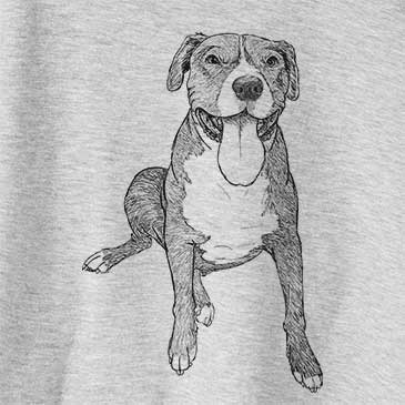 Doodled Zorro the Pitbull Mix