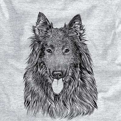 Daan the Belgian Shepherd