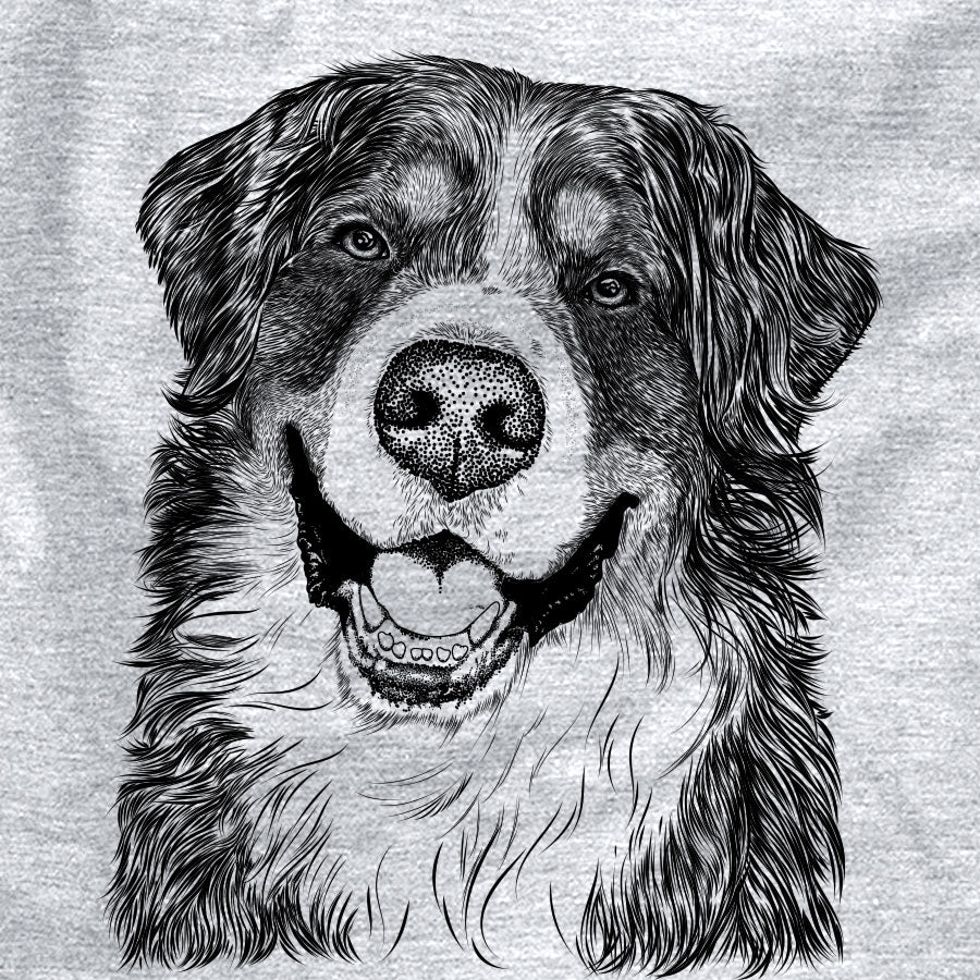 Eiger the Bernese Mountain Dog