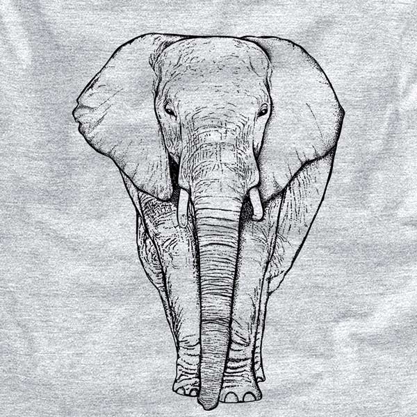 Ella the African Elephant