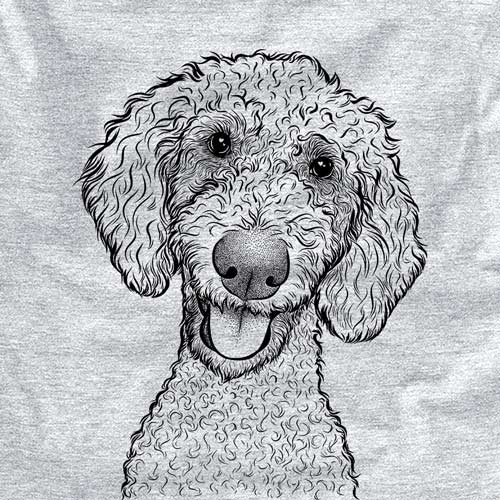 Fenway the Goldendoodle