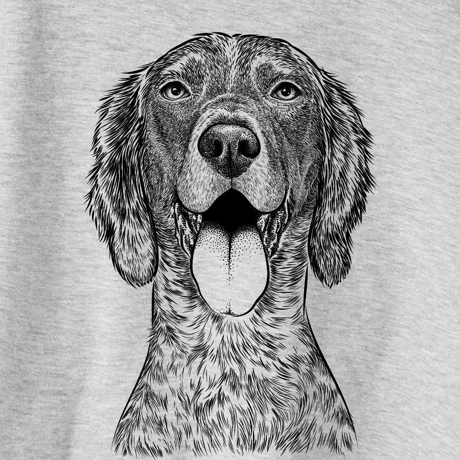 Freddy the English Setter