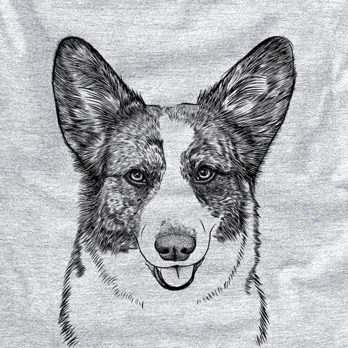 Gabby the Cardigan Welsh Corgi