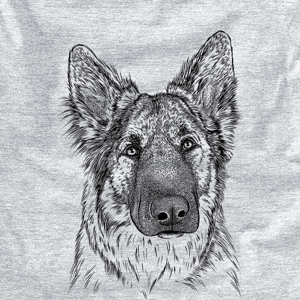 Geddy the Shiloh Shepherd