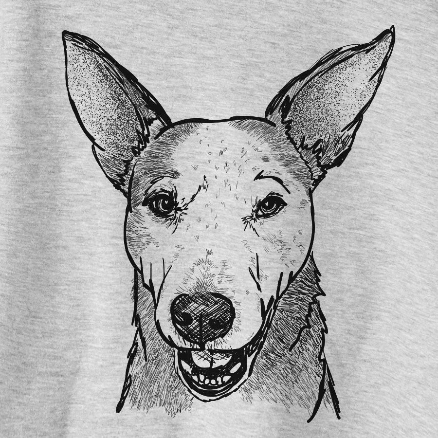 Doodled Giselle the Australian Cattle Dog Mix