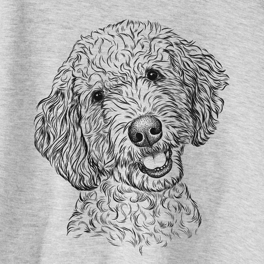 Gizmo the Goldendoodle