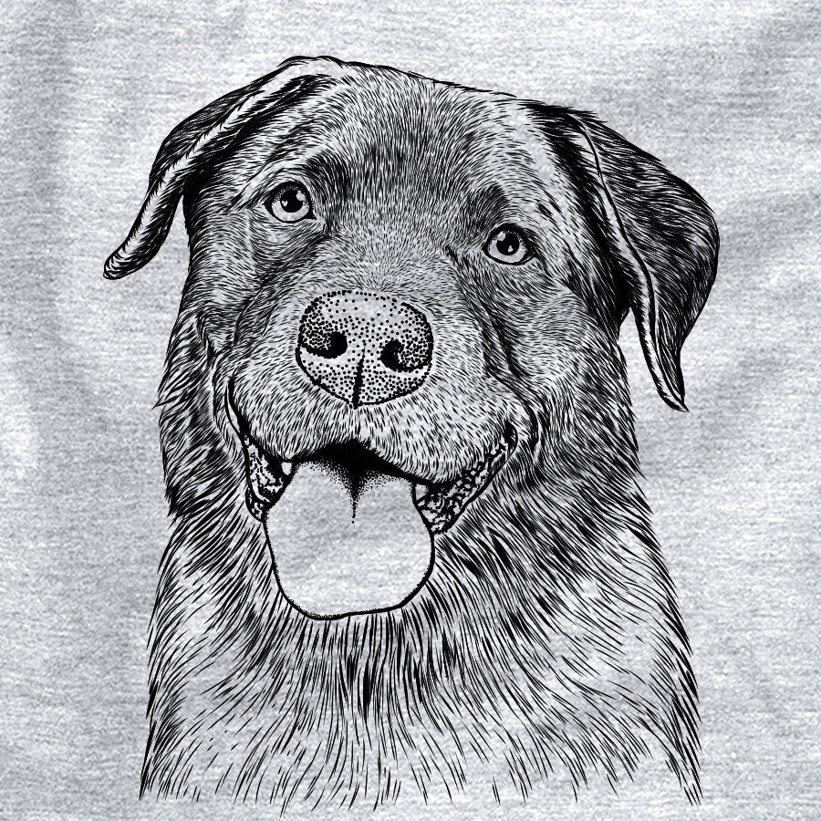 Gonzo the Chocolate Lab