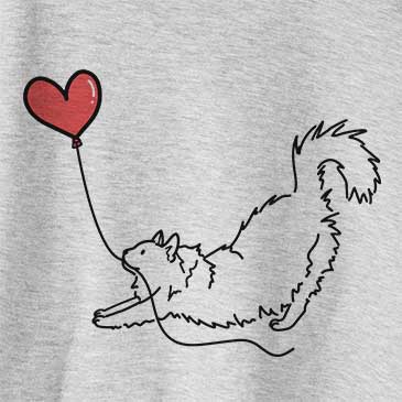 Domestic Long Hair Cat - Heart String