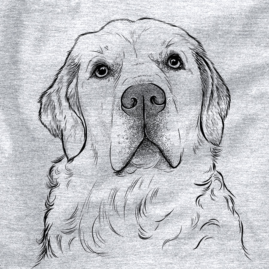 Hank the Irish Cream Golden Retriever