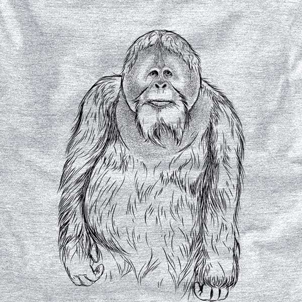 Horace the Male Orangutan