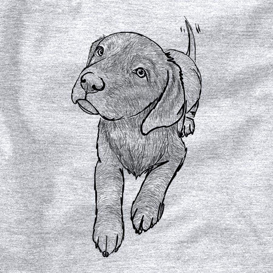 Doodled Indiana the Chocolate Lab Puppy