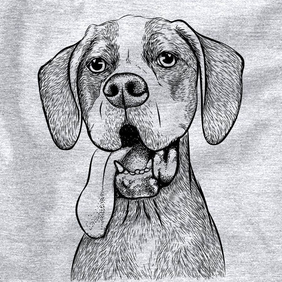 English Pointer - Inkopious