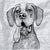 English Pointer - Inkopious