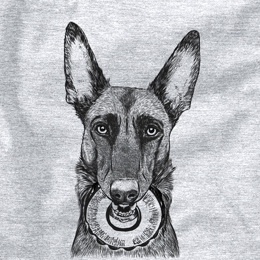 Juno the Belgian Malinois