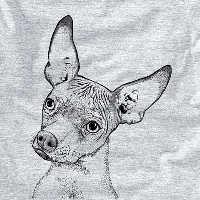 Kahlo the Xoloitzcuintli