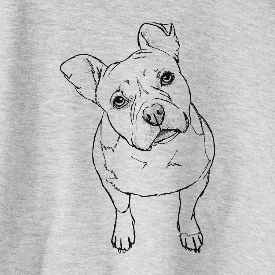 Doodled Koda Bear the Pitbull Mix