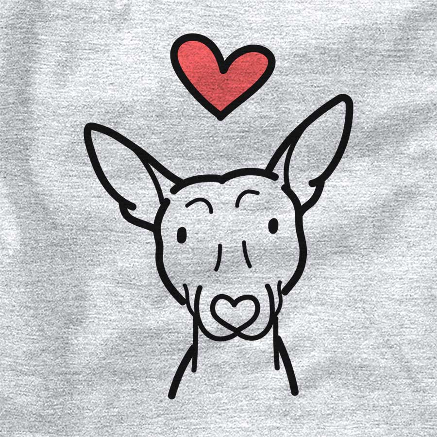 Love Always American Hairless Terrier