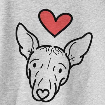 Love Always Georgia the American Hairless Terrier