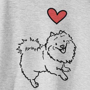 Love Always Goldie the Pomeranian Mix