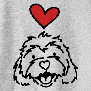 Love Always Harry the Cavachon