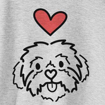 Love Always Leo the Shih Tzu