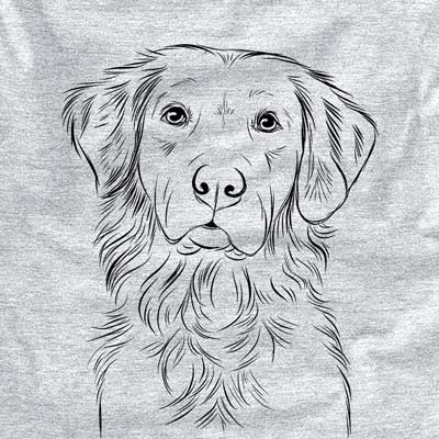 Linden the Golden Retriever