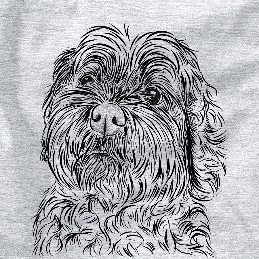 Maggie Girl the Cockapoo