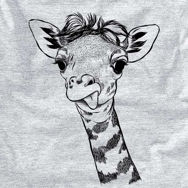 Mel the Baby Giraffe