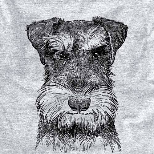 Murphy the Mini Schnauzer