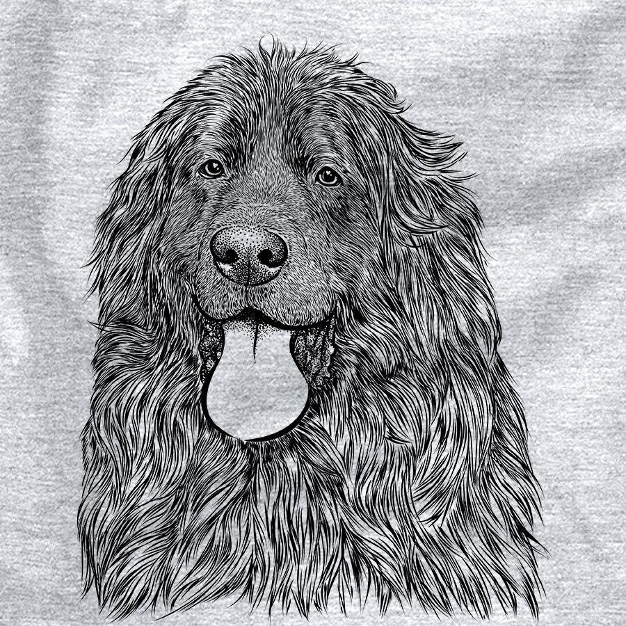 Neptune the Newfoundland