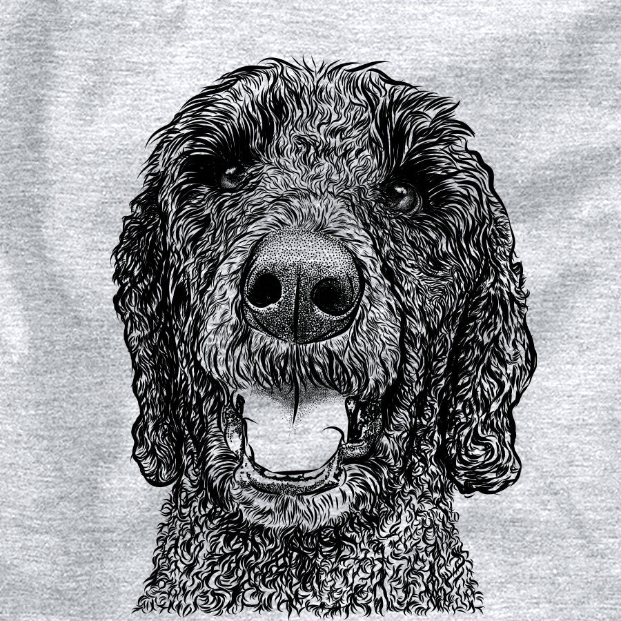 Obi James the Goldendoodle