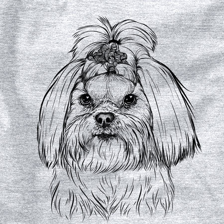 Olga the Shih Tzu