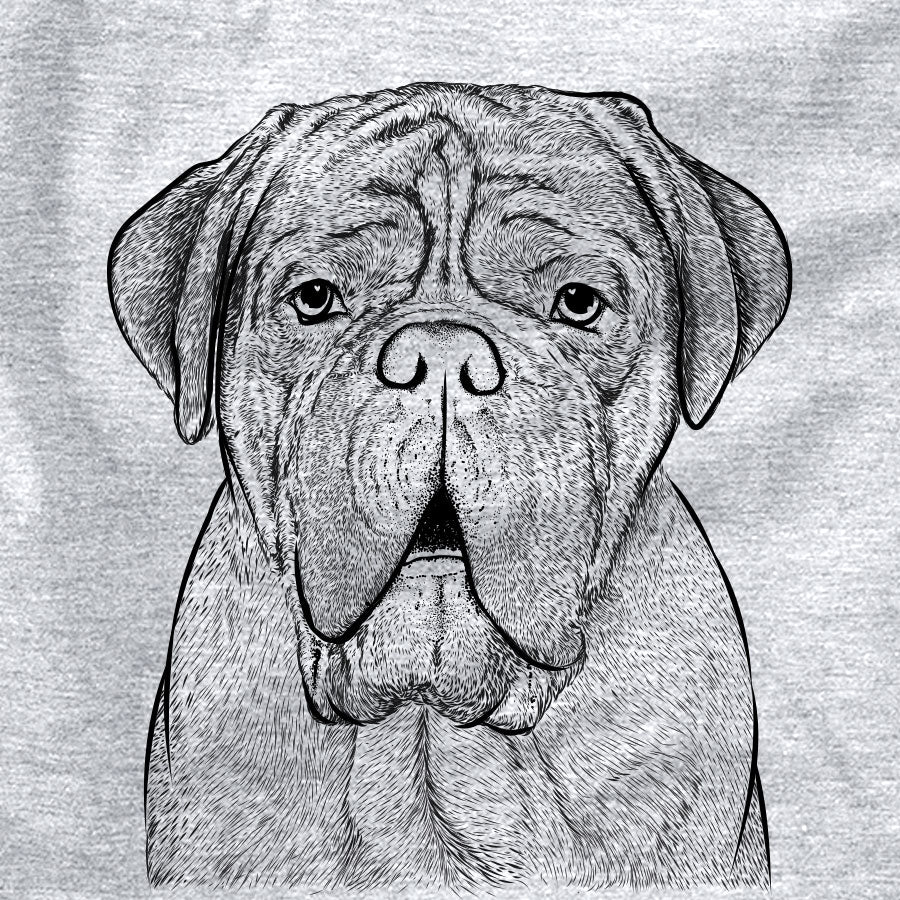 Optimus the Dogue de Bordeaux