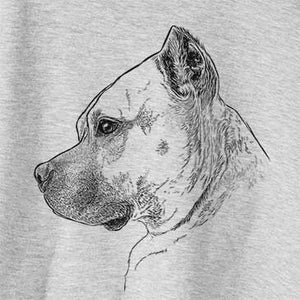 Profile Henry the American Staffordshire Terrier