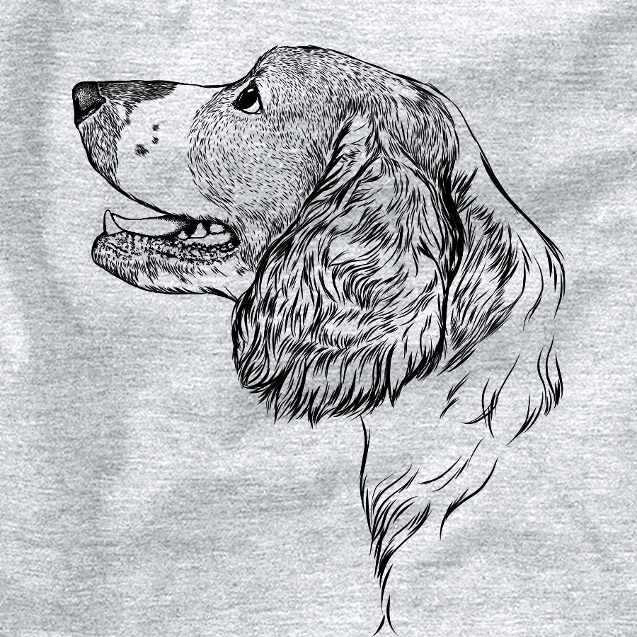 Profile Welsh Springer Spaniel