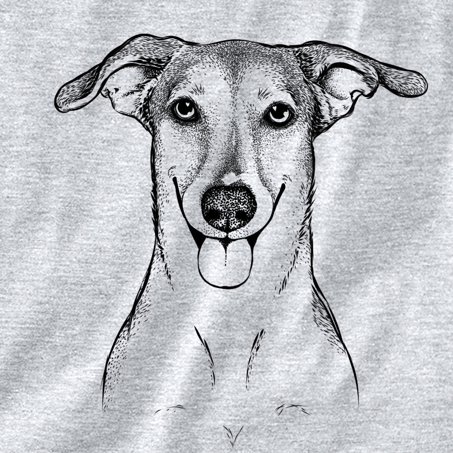 Phoebe the Corgi Mix