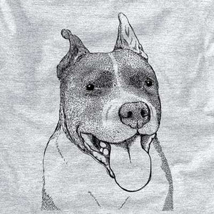 Piggy the American Staffordshire Terrier