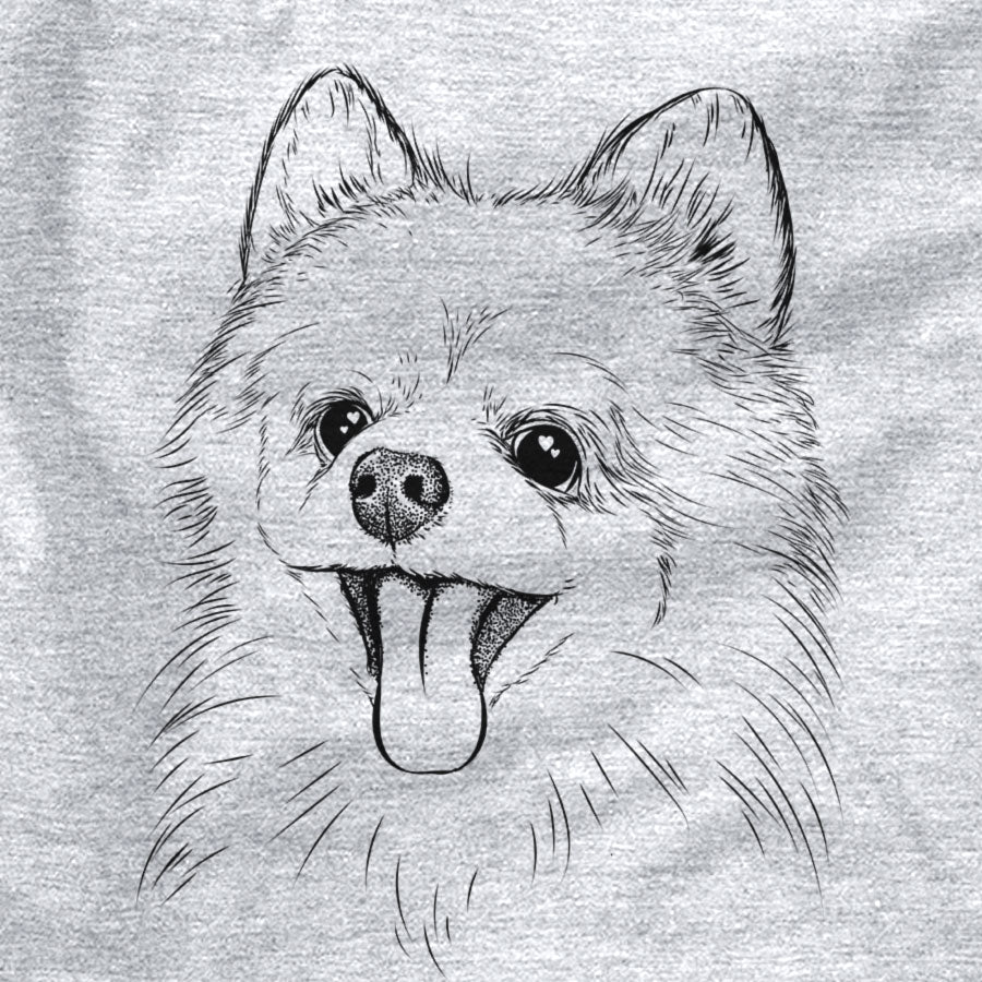 Quinn the Pomeranian