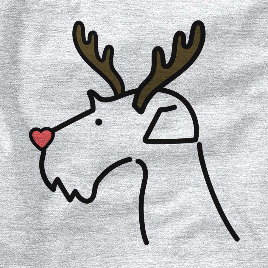 Red Nose Airedale Terrier