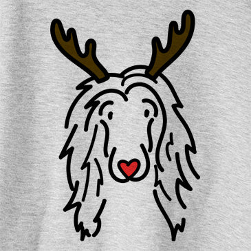 Red Nose Asher the Afghan Hound