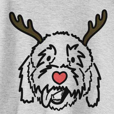 Red Nose Barry the Goldendoodle