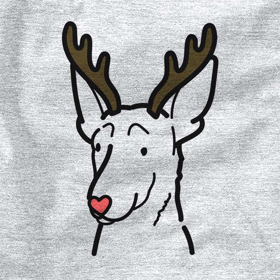 Red Nose Belgian Malinois