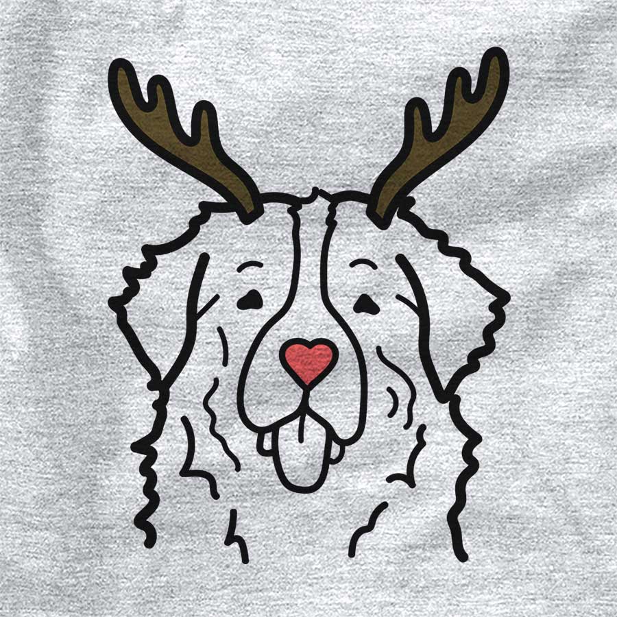 Red Nose Bernese Mountain Dog