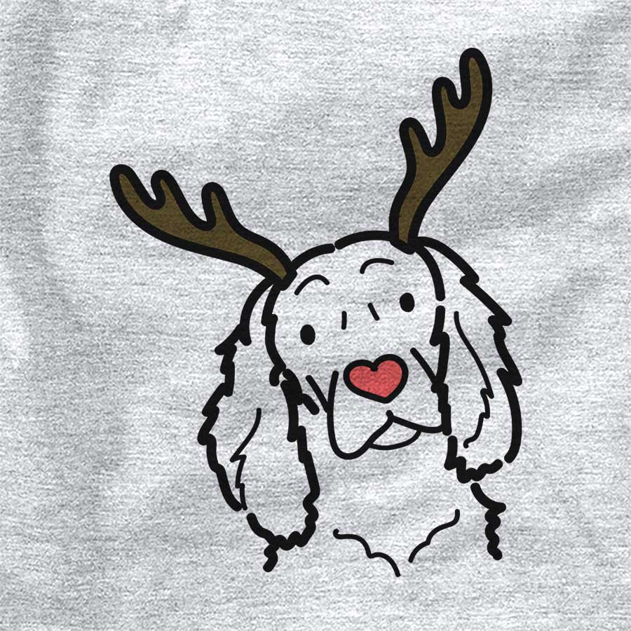 Red Nose Boykin Spaniel