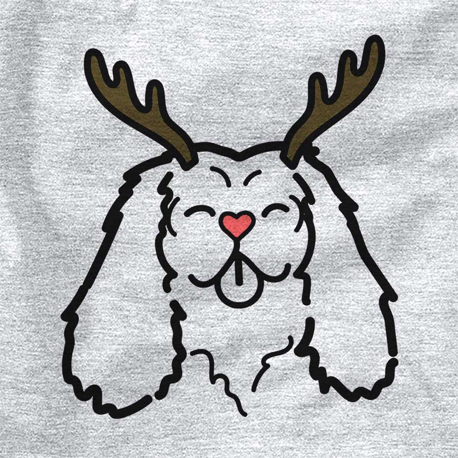 Red Nose Cavalier King Charles Spaniel