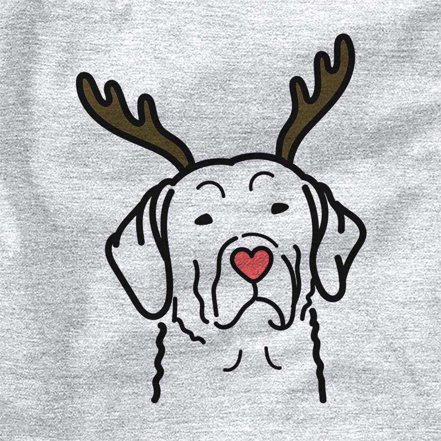 Red Nose Chesapeake Bay Retriever