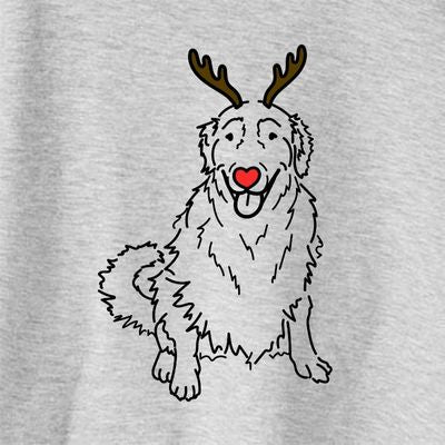 Red Nose Daisy the Golden Retriever