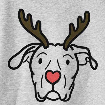 Red Nose Genevieve the Dogo Argentino