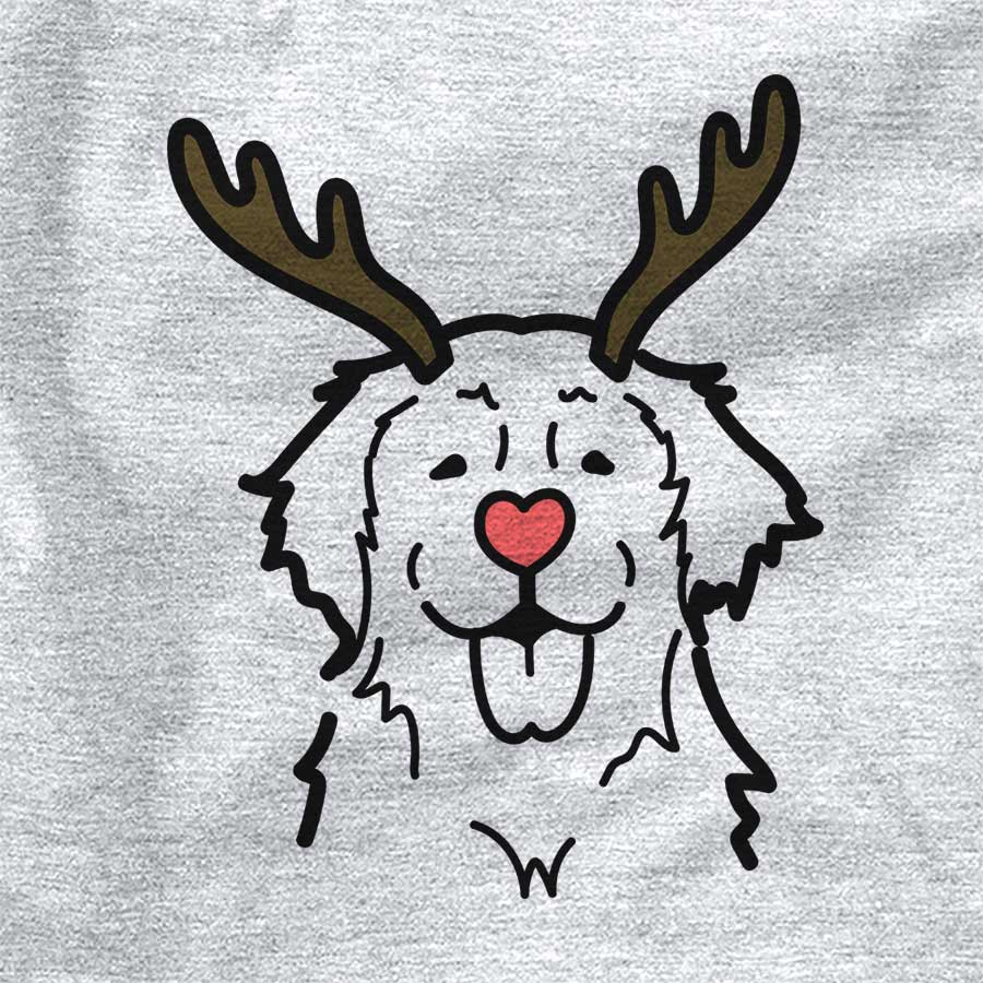 Red Nose Golden Retriever