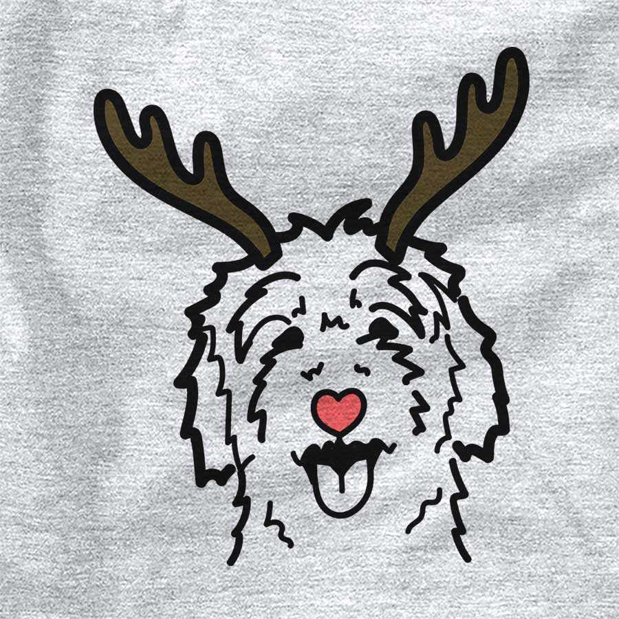 Red Nose Goldendoodle